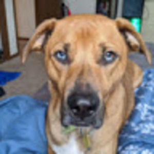 Meet your Posher, Carla